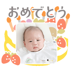TURTLE original sticker 03260304