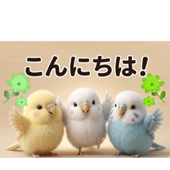 MIHO_20260502150452