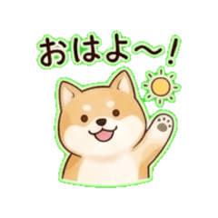 Daily Chat Stickers000
