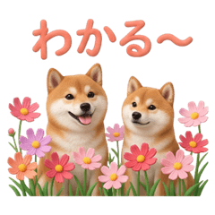 3D Shiba Inu and Big Flowers