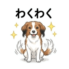 kooikerhondje Lutz 2