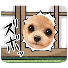 nakanisi-ke_20260502160412
