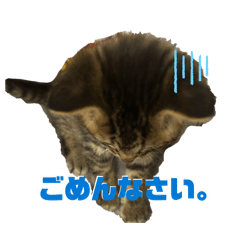 ninnin_20260503020058