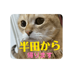 hite_2026