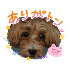 Daikiti kabushima_20260426192855