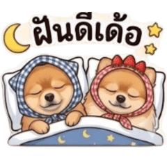 Kwanjai_20260428114626