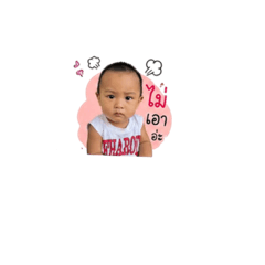 KIN_20260428114825