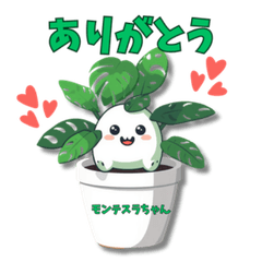 Monstera-chans Daily Life