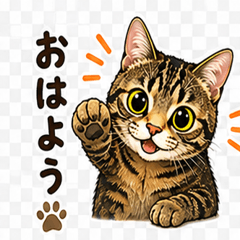 A cat named Hana