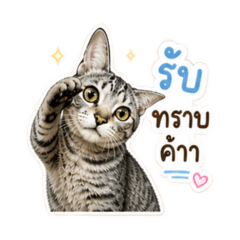 Moo Yoong got it!