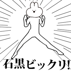 Rabbit Name ishiguro.moves!