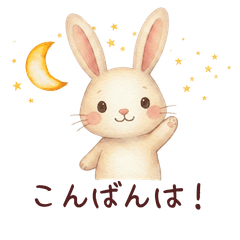 Everyday Fluffy Bunny1125