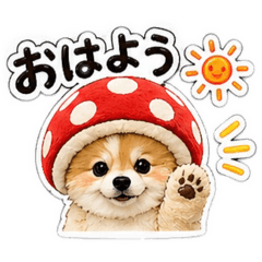Pomeranian stamp:caesar