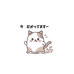 Cuddly cats0412