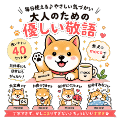 Gentle Polite Shiba Moco