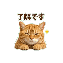 Orange Tabby Chat