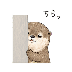Ruru the At-His-Own-Pace Otter