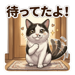 GON: Expressive Tuxedo Cat Life
