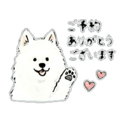 salon Daily Chat Stickers