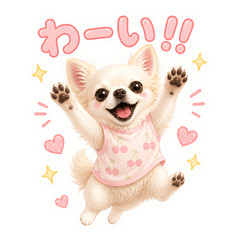 Lily Kawaii Chihuahua