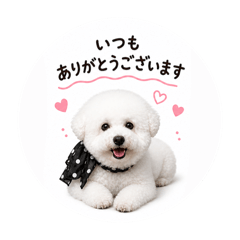 naomi_20260502181351
