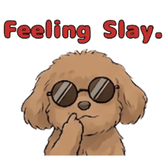 Chill Toy Poodle Stikers