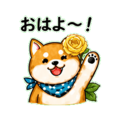 Shiba Inu 5 | Everyday Chat Stickers