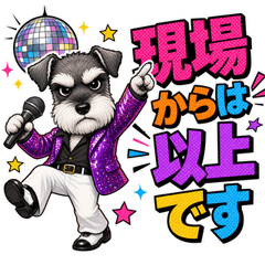 Disco Schnauzer Groove Party