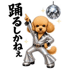 Groovy Toy Poodle Disco