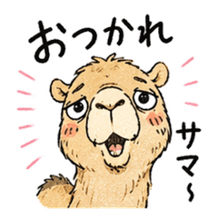 Darii Folk: Lazy Camel