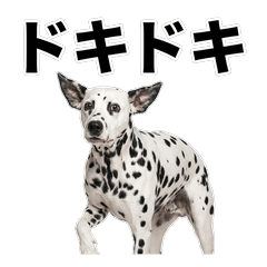 大麥町犬 問候貼圖 - AG