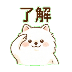 Fluffy Pomeranian_ Daily Life