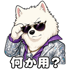 Samoyed Disco Fever