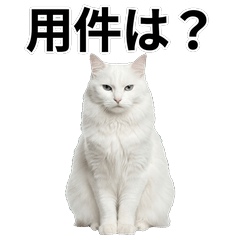 安哥拉貓 鹽系貼圖 - AG