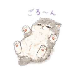 ao_20260502191942