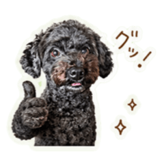 Riri_20260502192509