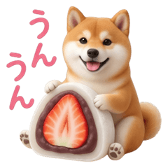 3D Shiba Inu and Japanese Sweets