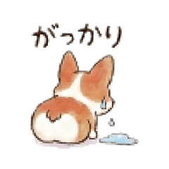 Relaxed & Fluffy Corgi