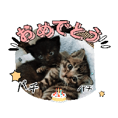 Cute Ai Cat Stickers