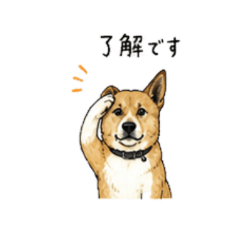 Useful Chill Dog Stickers