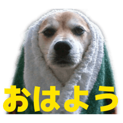 yama_20260503021941