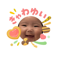 yp_20260503023918