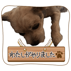 takechanman_20260503025001