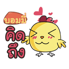 BOMMY this chicken2