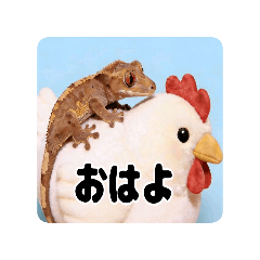 Luppy_20260426192100