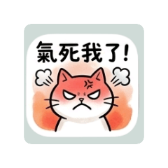 卯貓咪～喵～喵～3