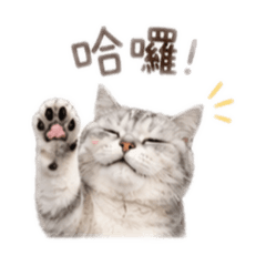 嚕嚕咪6