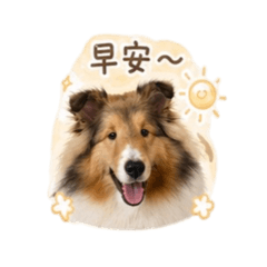 多多贊(卡)住(的)源源