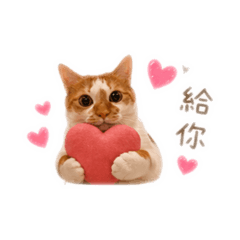 Umi的慵懶生活