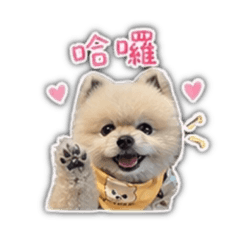 Kuma陪你聊天日常
